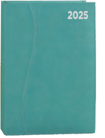 cheap diaries for sale